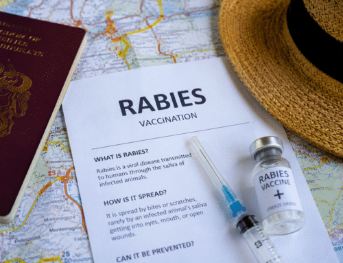 Do I Need a Rabies Vaccine Before Travelling? Advice for Thailand, Bali, India and Africa
